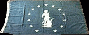 Minuteman Flag - Wingit Cover