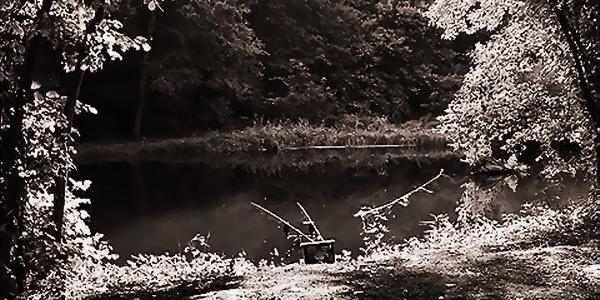 Jack in the Box chapter cover