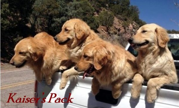 Kaiser's Pack Coverplate