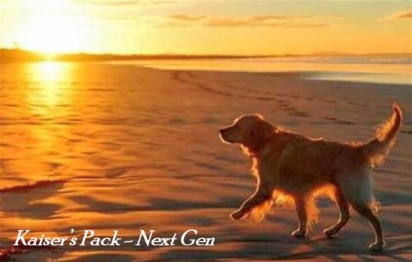 Kaiser's Pack - Next Gen Title Page