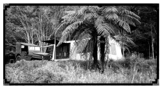 Bush Camp